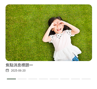 版型 12
